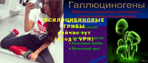 гашик Бронницы