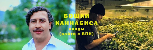 гашик Бронницы
