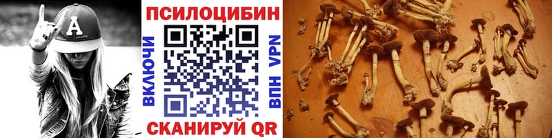Галлюциногенные грибы GOLDEN TEACHER Купить Магадан